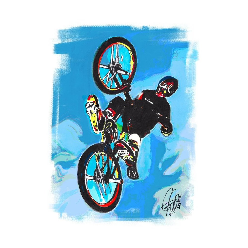 Mat Hoffman Freestyle BMX Poster Print Wall Art 11x17